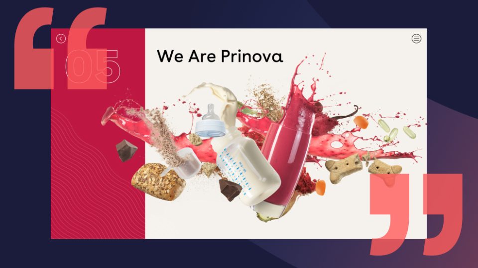 Prinova visual